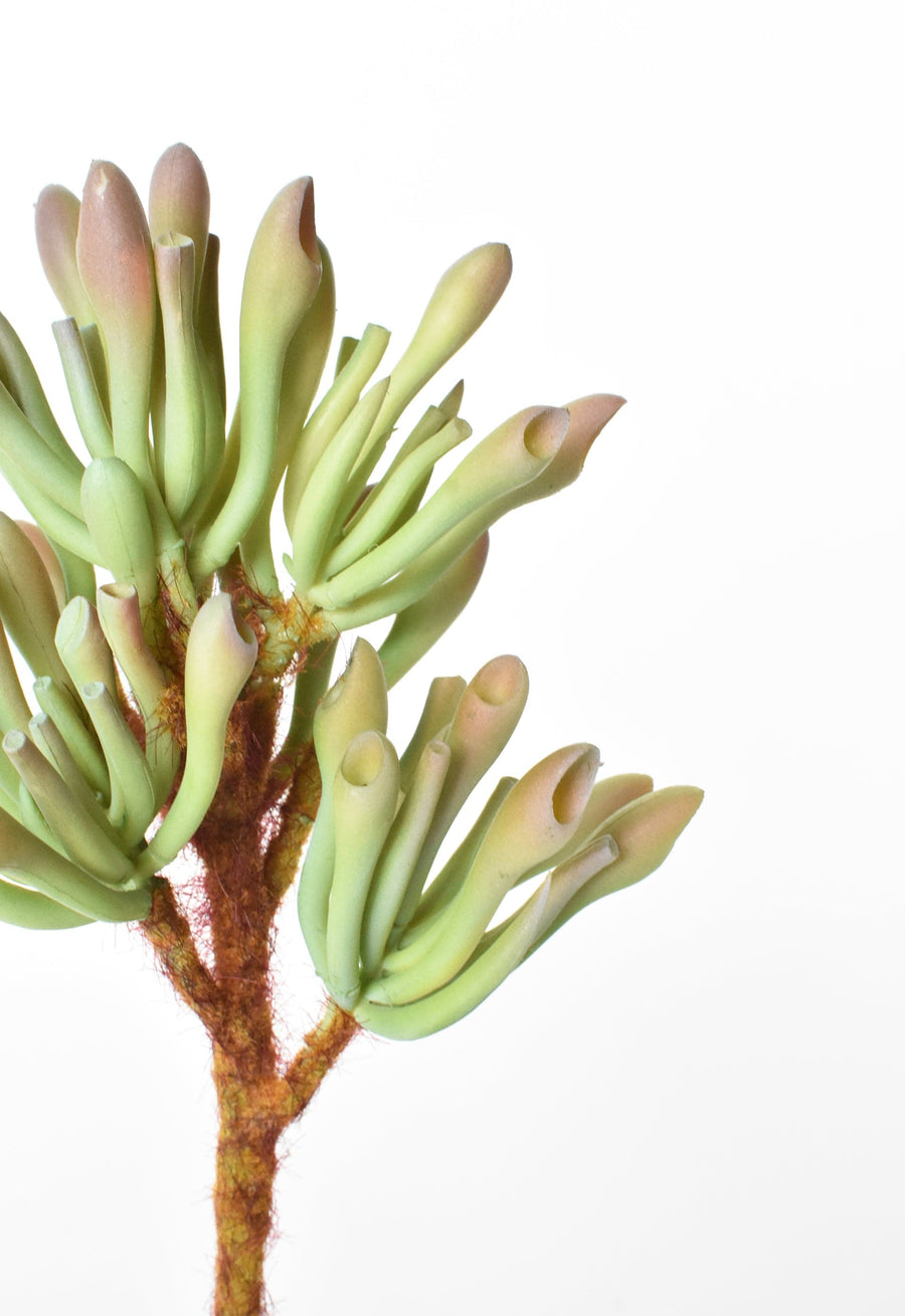 9.5" Faux Green Baby-Toe Succulent Stem