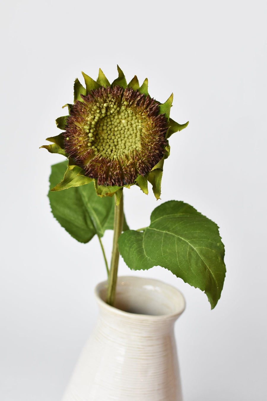 28" Aged Brown Sunflower Stem