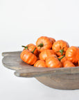Assorted Pumpkins Filler