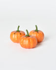 Assorted Pumpkins Filler