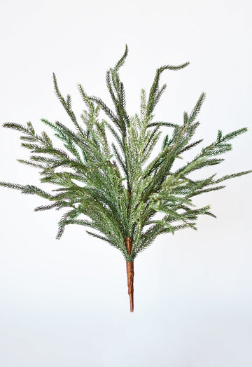 20" Faux Whitewash Green and ICED Norfolk Pine Spray Bush