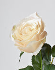 22" Faux Beige Rose Bud Spray Stem
