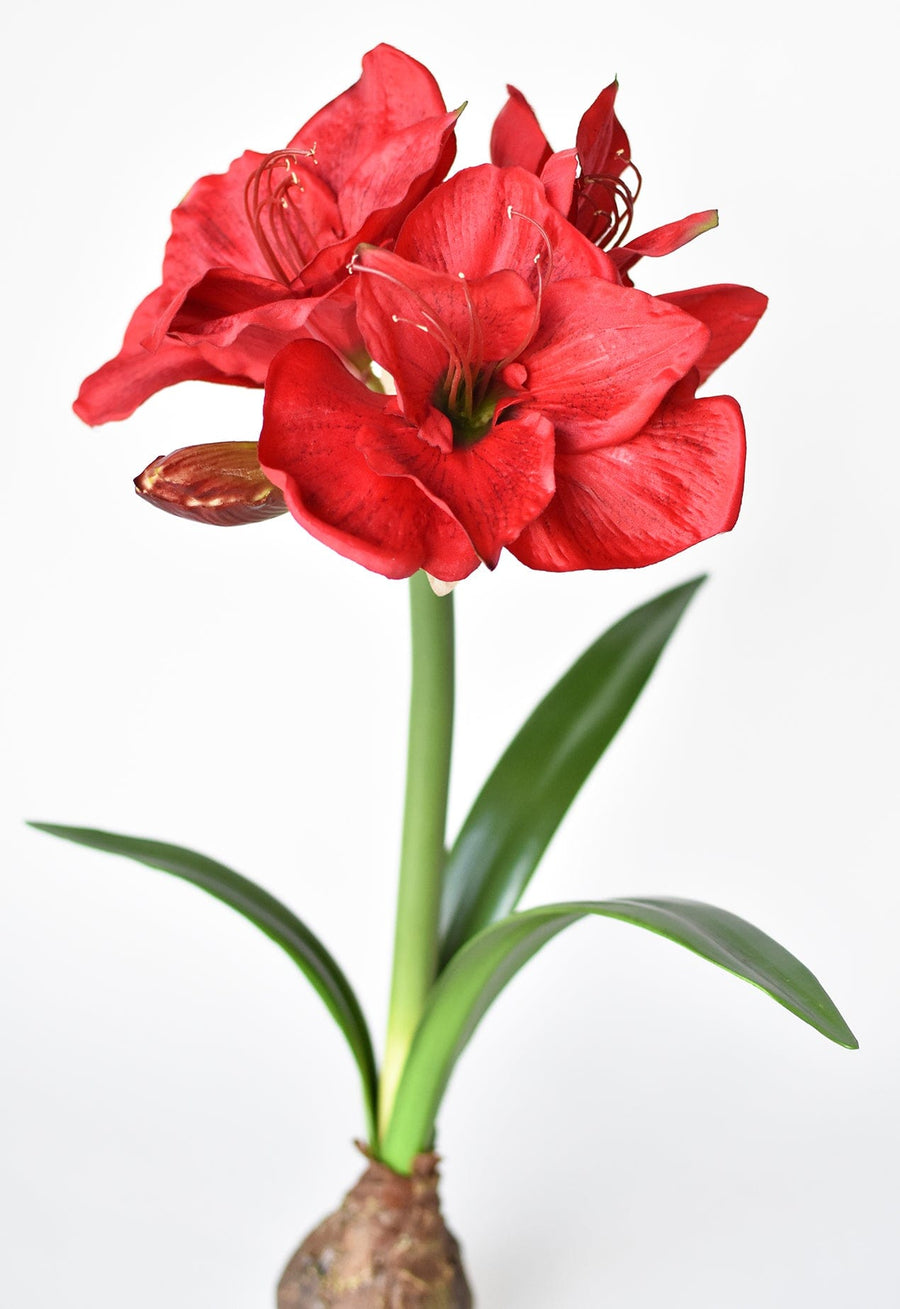 21" Faux Standing Red Amaryllis w/ Bulb