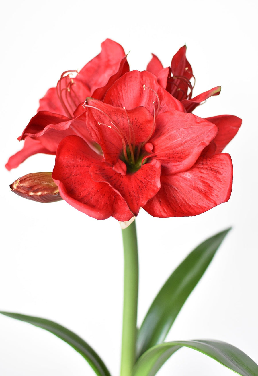 21" Faux Standing Red Amaryllis w/ Bulb