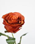 22" Faux Large Rose Bud Stem Deep Orange