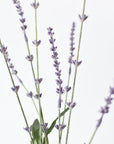 33" Faux Lavender Stem