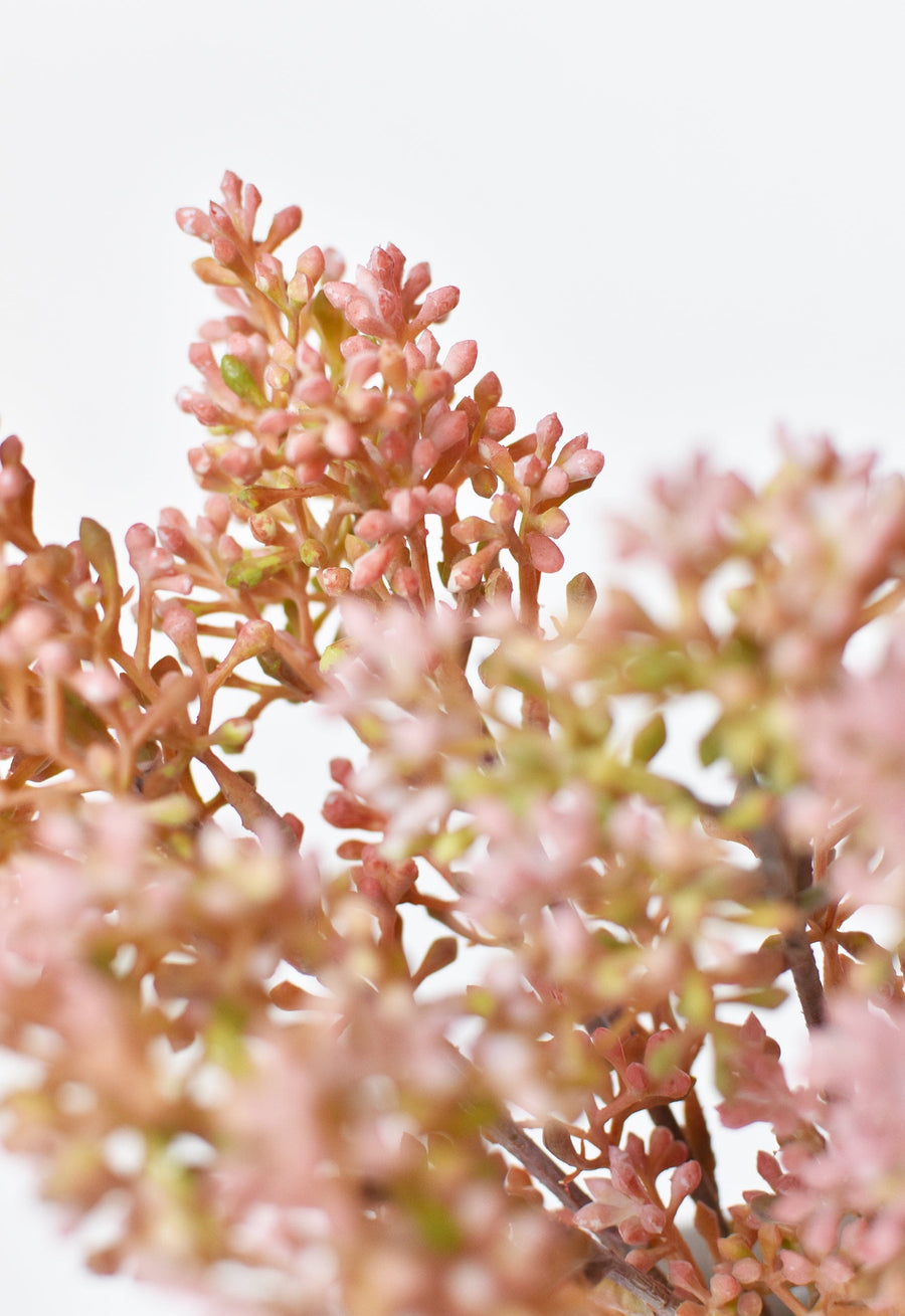14" Faux Pink Sedum Bundle (3 Stems)