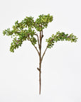 12" Faux Green Sedum Berry Stem