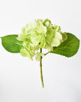 10" Faux Green Hydrangea Stem