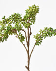 12" Faux Green Sedum Berry Stem
