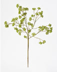 16" Faux Soft Green Sedum Berry Stem