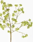 16" Faux Soft Green Sedum Berry Stem