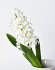 12.5" Faux White Hyacinth Stem