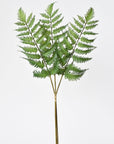 22" Faux Forest Fern Stem Bundle