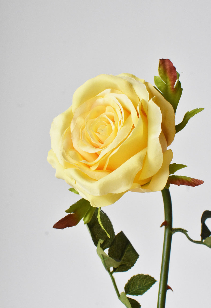 27" Faux Yellow Open Garden Rose Stem