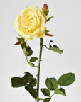 27" Faux Yellow Open Garden Rose Stem