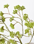 16" Faux Soft Green Sedum Berry Stem