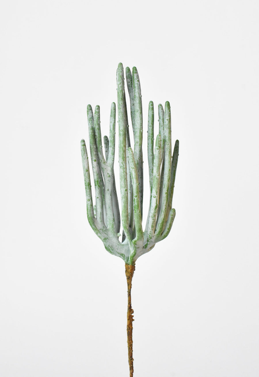 10" Faux Green Stick Cactus Pick Stem