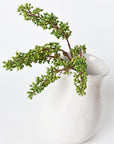12" Faux Green Sedum Berry Stem