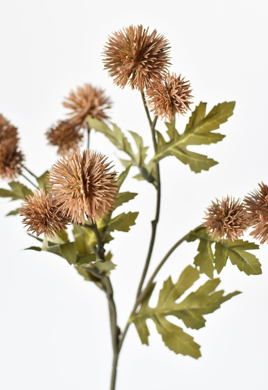 22" Faux Brown Pom Thistle Stem