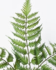 22" Faux Forest Fern Stem Bundle