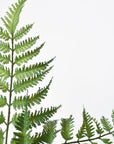 22" Faux Forest Fern Stem Bundle