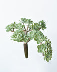 5" Faux Green Sedum Succulent Pick
