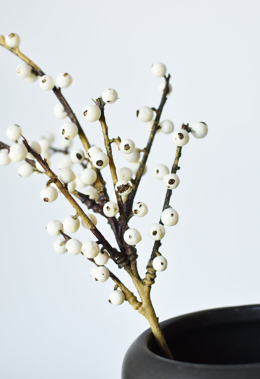 White Berry Stem – Twig