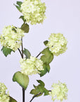 30" Faux Green Snowball Hydrangea Stem