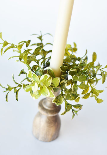 5" Faux Variegated Boxwood Candle Ring (Fits Taper Candle)