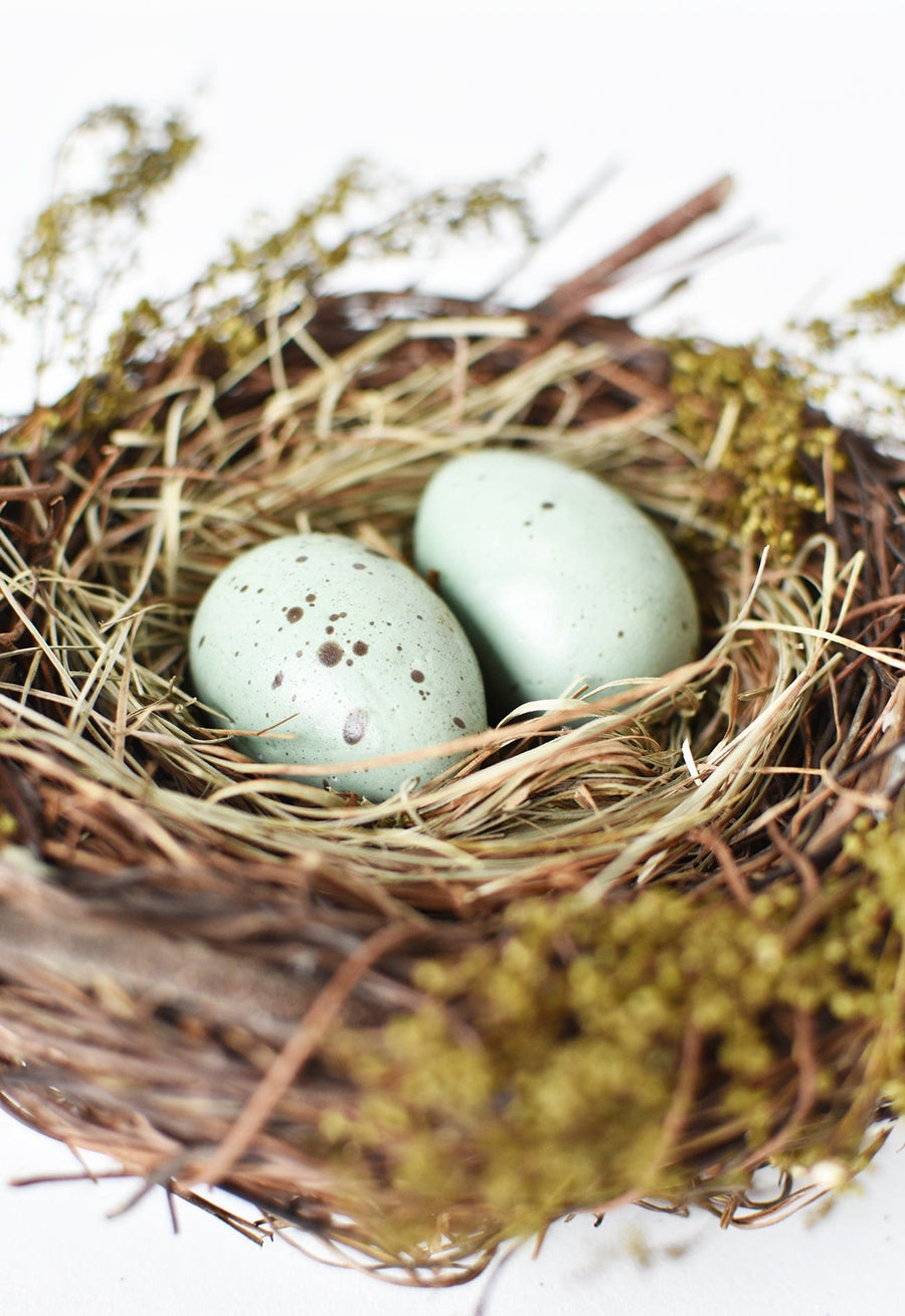 6" Mossy Twig Bird Nest w/ Eggs