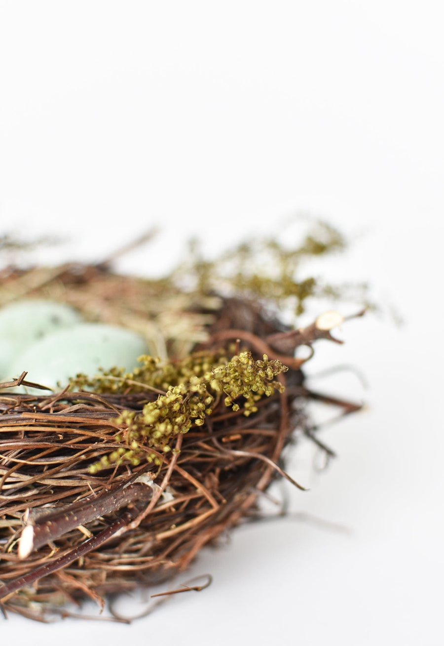 6" Mossy Twig Bird Nest w/ Eggs