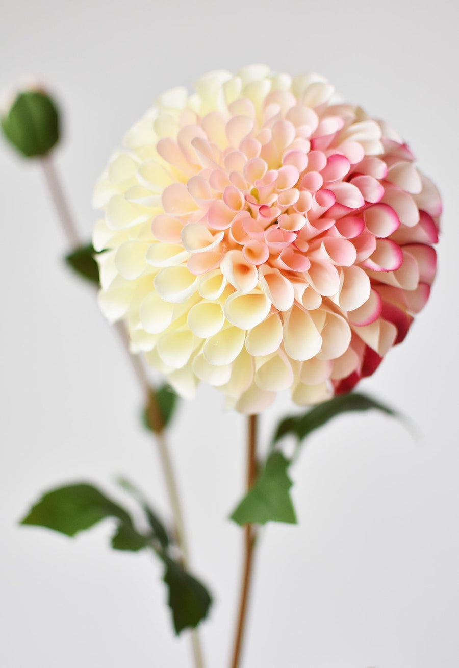 31" Faux Dahlia Stem Pink Cream