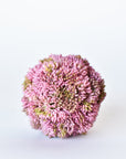 4" Faux Mauve Sedum Ball