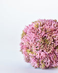 4" Faux Mauve Sedum Ball
