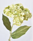 25" Faux Hydrangea Stem Apple Green