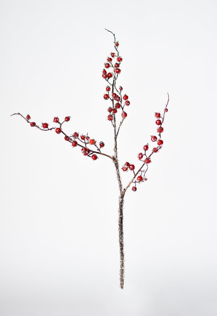 Wholesale Frosted Berry Stem, Stems Red Berries