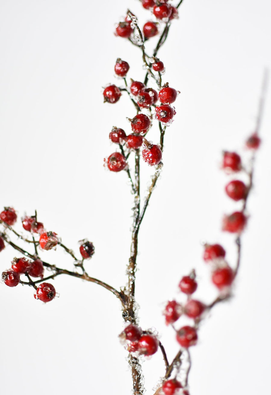 29 Faux Iced White Berry Stem – House by JSD