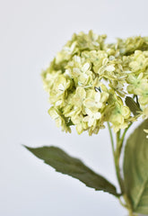 25 inch faux apple green hydrangea stem