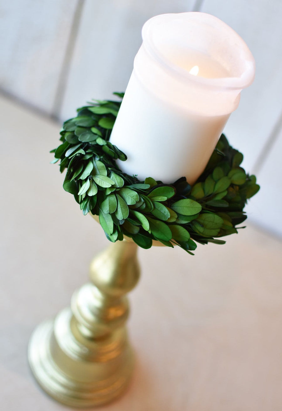 Boxwood Candle Ring/Mini Wreath