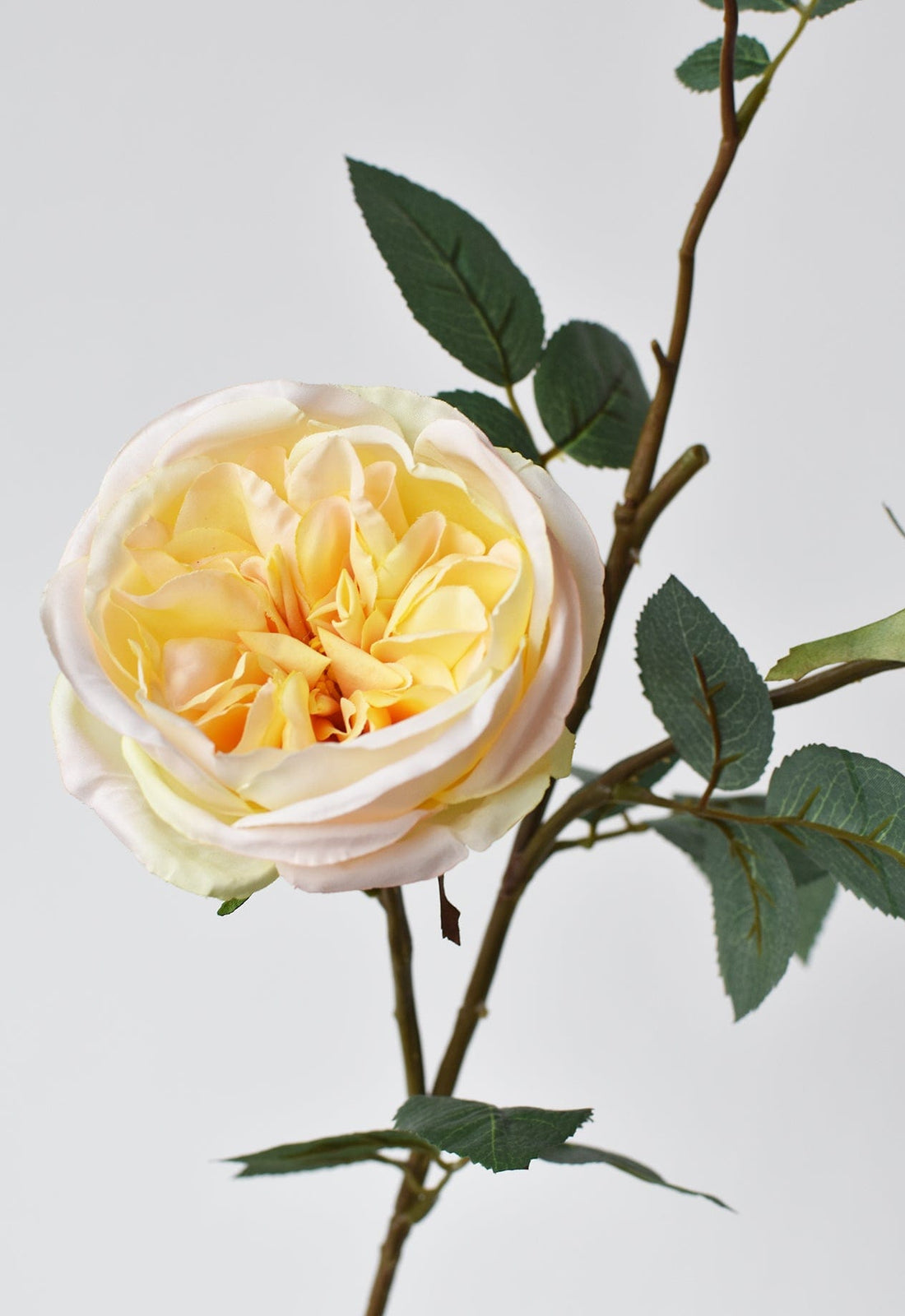Faux Cabbage Rose _ Faux cabbage rose flowers – TSDG