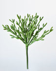 13" Faux Green Pencil Cactus Stem Succulent