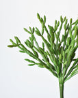 13" Faux Green Pencil Cactus Stem Succulent