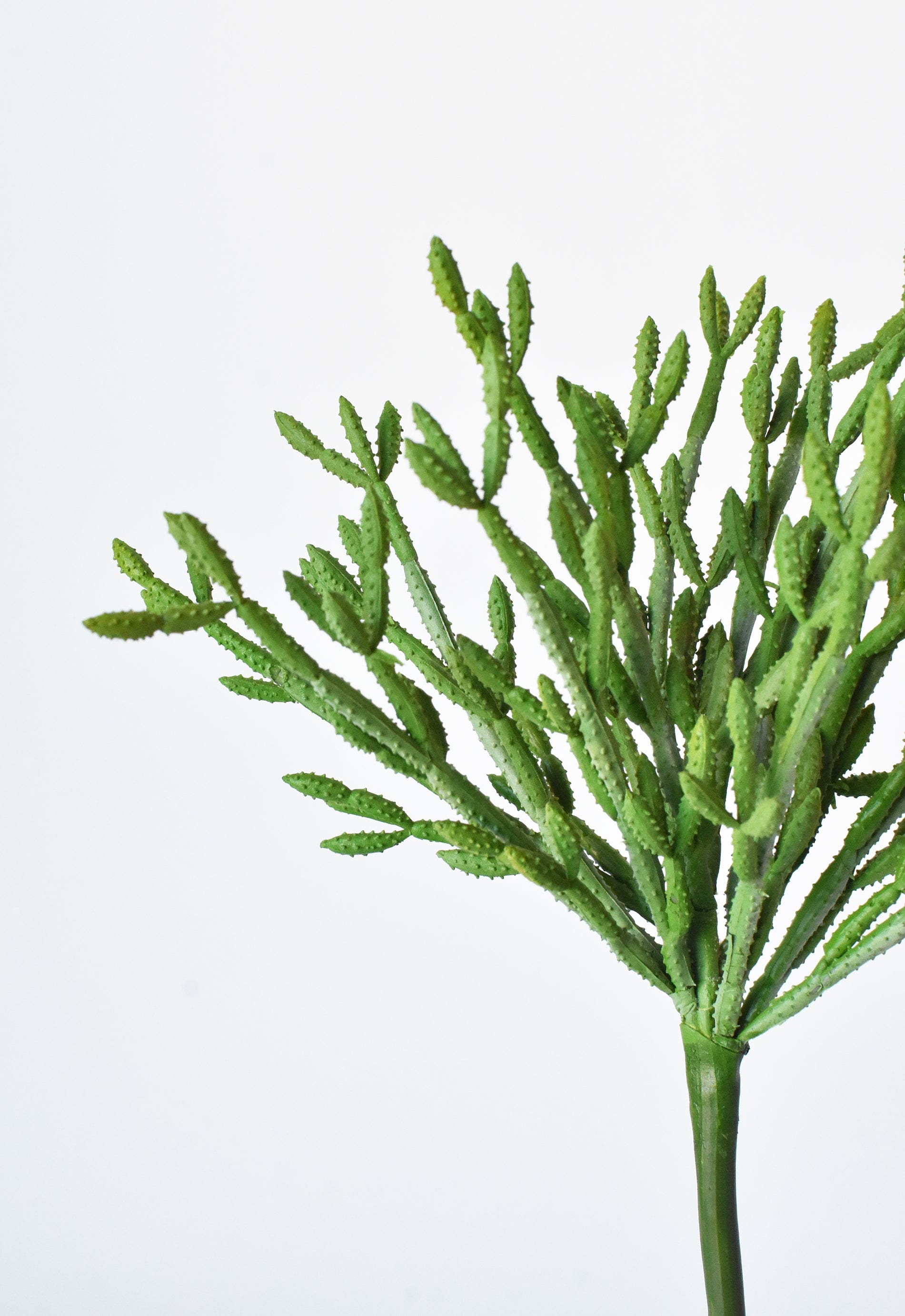 pencil cactus hanging 24" Faux Pencil Cactus Hanging Succulent Bush – House by JSD