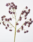 16" Faux Purple Soft Sedum Berry Stem