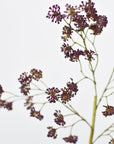 16" Faux Purple Soft Sedum Berry Stem
