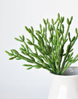 13" Faux Green Pencil Cactus Stem Succulent