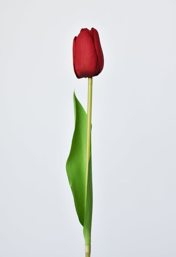 19" Faux Real Touch Red Tulip Stem
