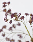 16" Faux Purple Soft Sedum Berry Stem
