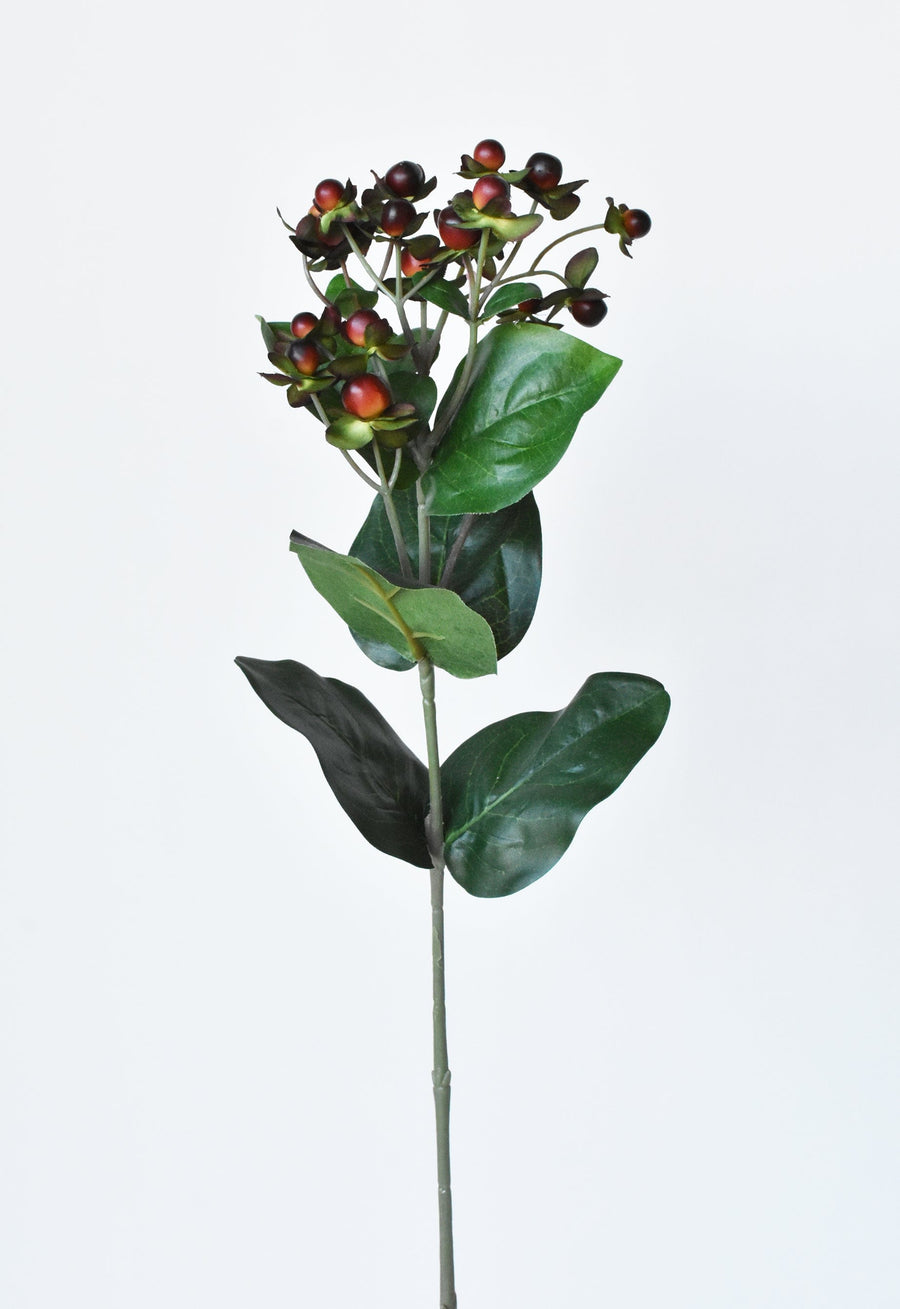 27.5" Burgundy Hypericum Berry Spray